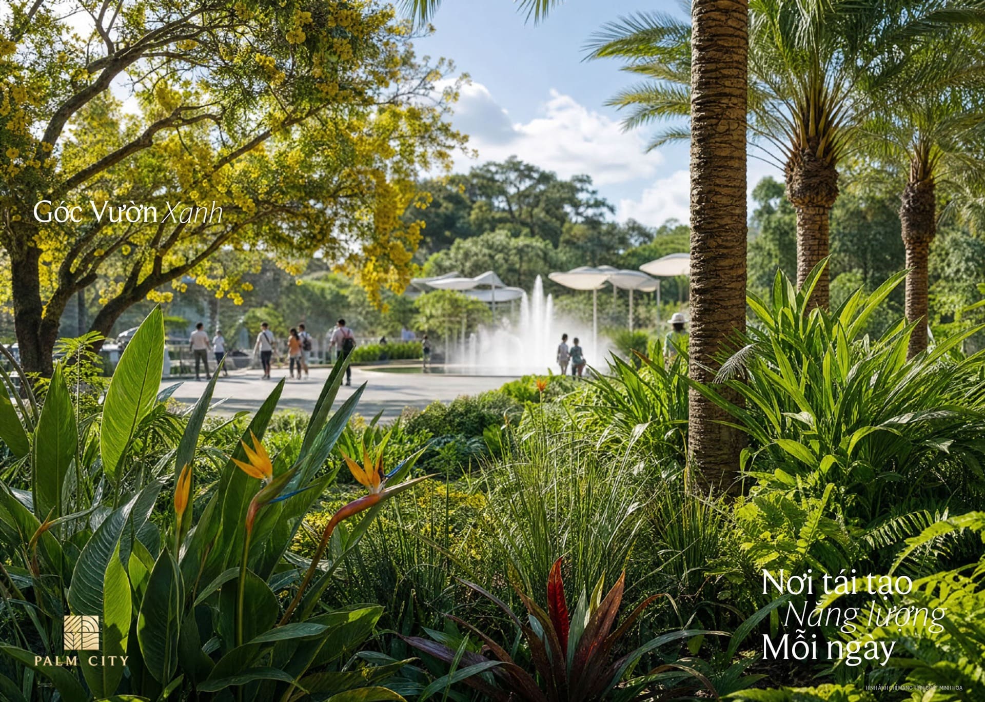 Tiện ích Palm River